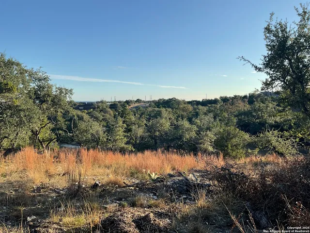a view of a lake with a city
