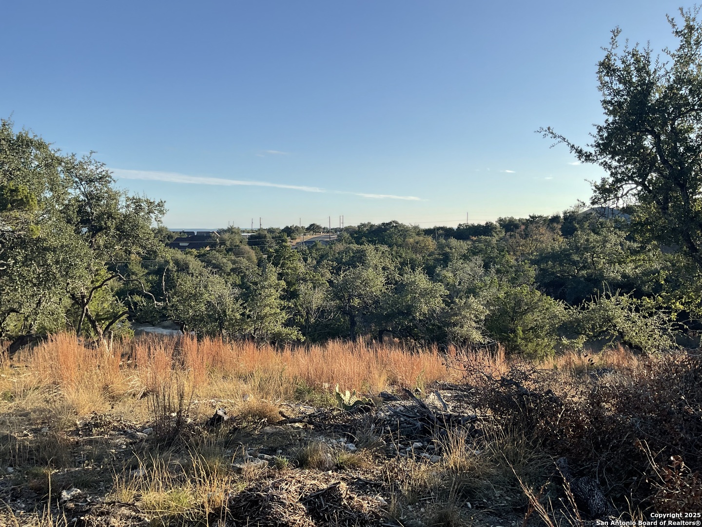 113 Champion Way Spring Branch, TX 78070 - Photo 8 of 13