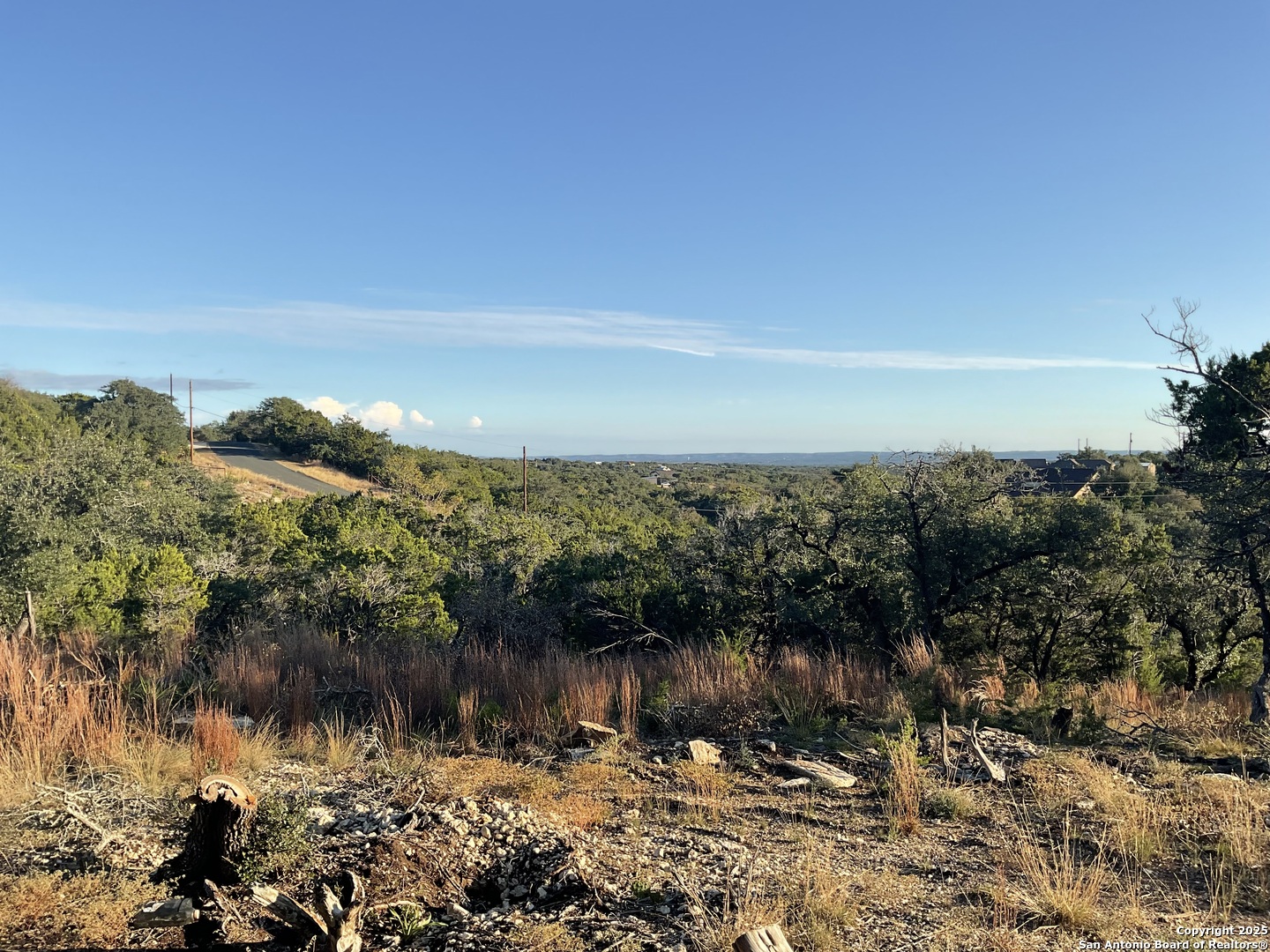 113 Champion Way Spring Branch, TX 78070 - Photo 9 of 13 a view of a lake with a city