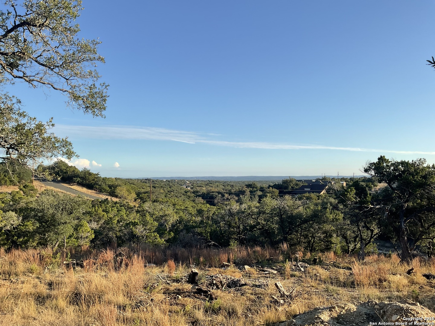 113 Champion Way Spring Branch, TX 78070 - Photo 10 of 13 a view of lake