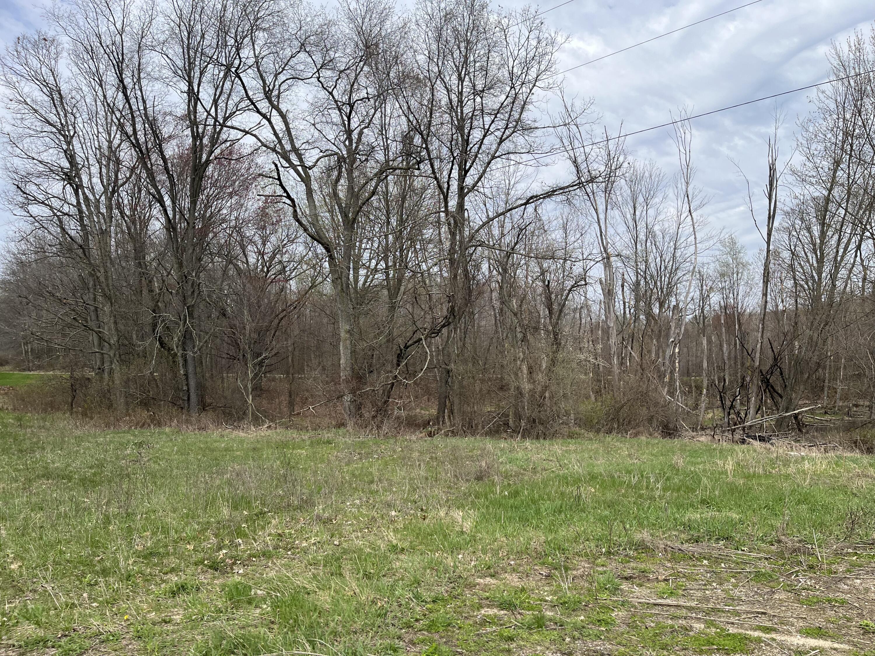 4785 North Vining Road Lakeview, MI 48850 - Photo 16 of 20 IMG_0809