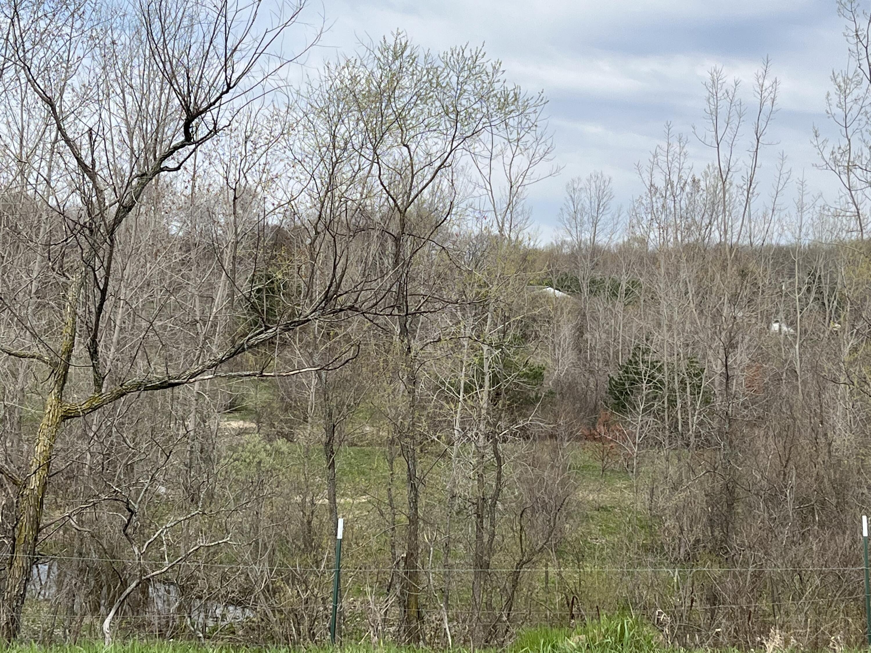 4785 North Vining Road Lakeview, MI 48850 - Photo 18 of 20 IMG_0821