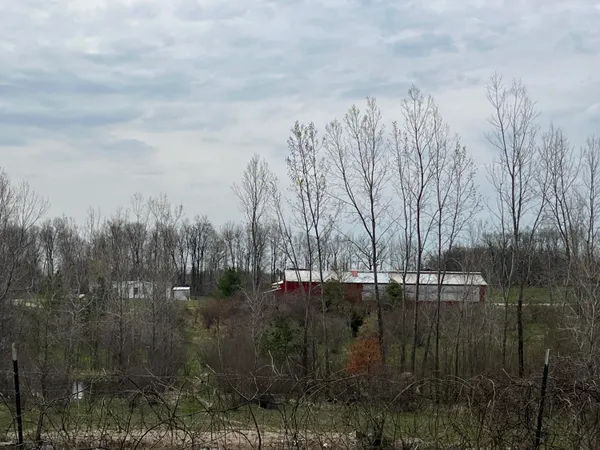 $325,000 | 4785 North Vining Road, Lakeview, MI 48850
