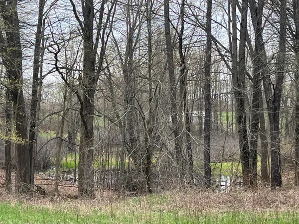 $325,000 | 4785 North Vining Road, Lakeview, MI 48850