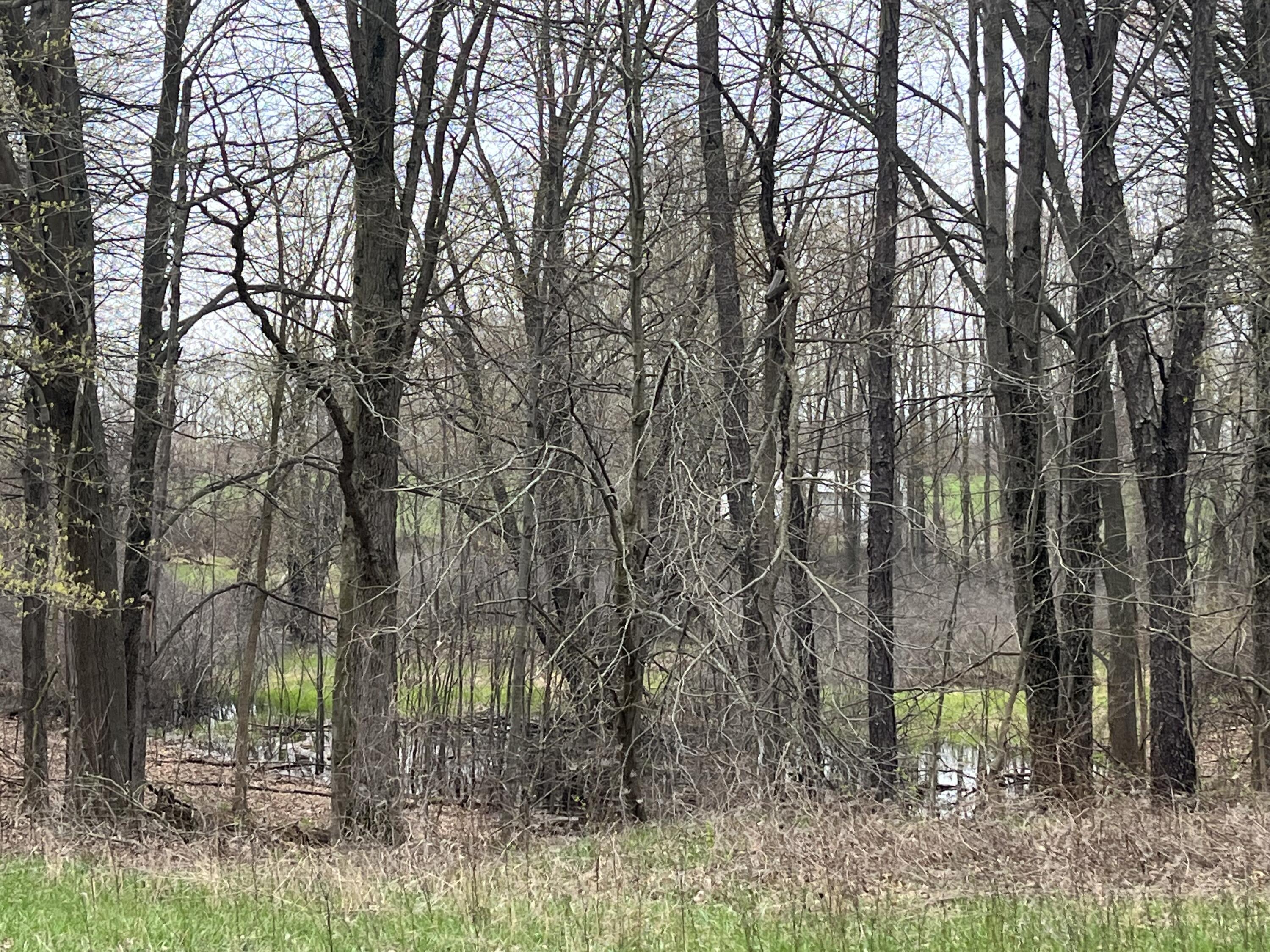 4785 North Vining Road Lakeview, MI 48850 - Photo 20 of 20 IMG_0823