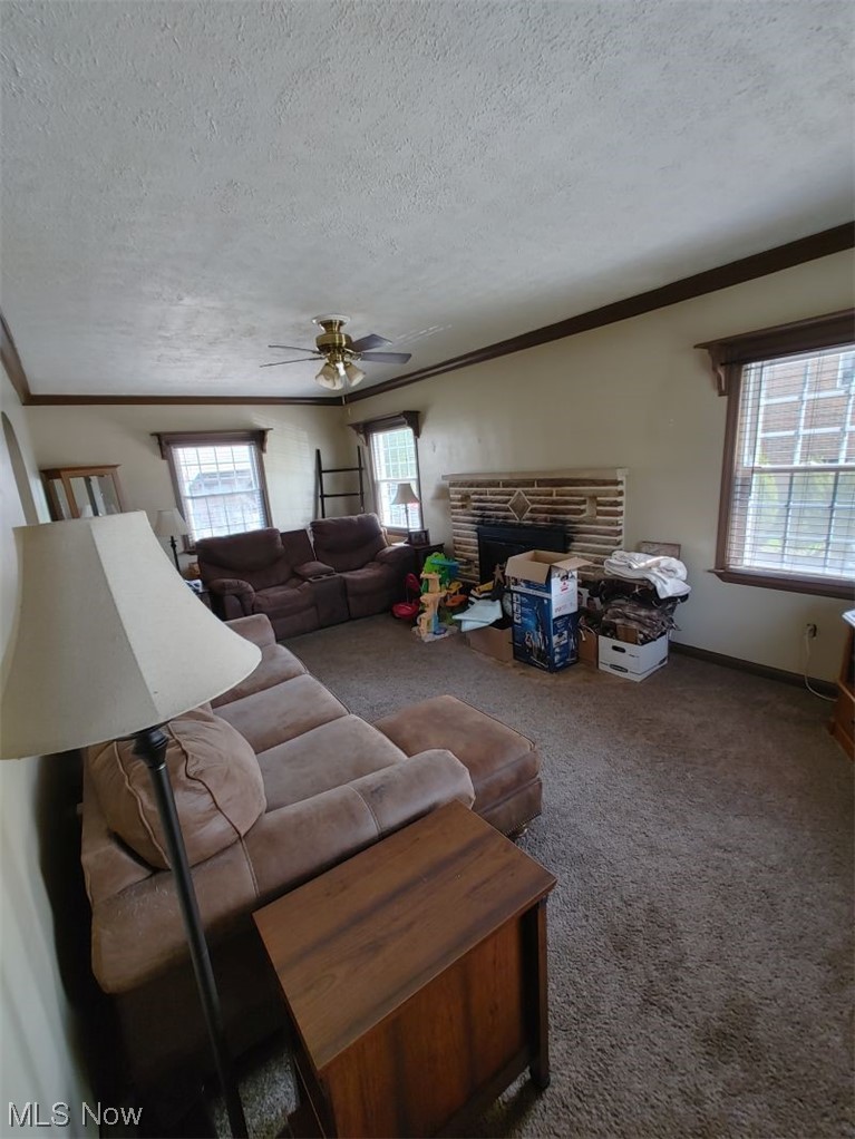 249 Killian Road Akron, OH 44319 - Photo 3 of 19