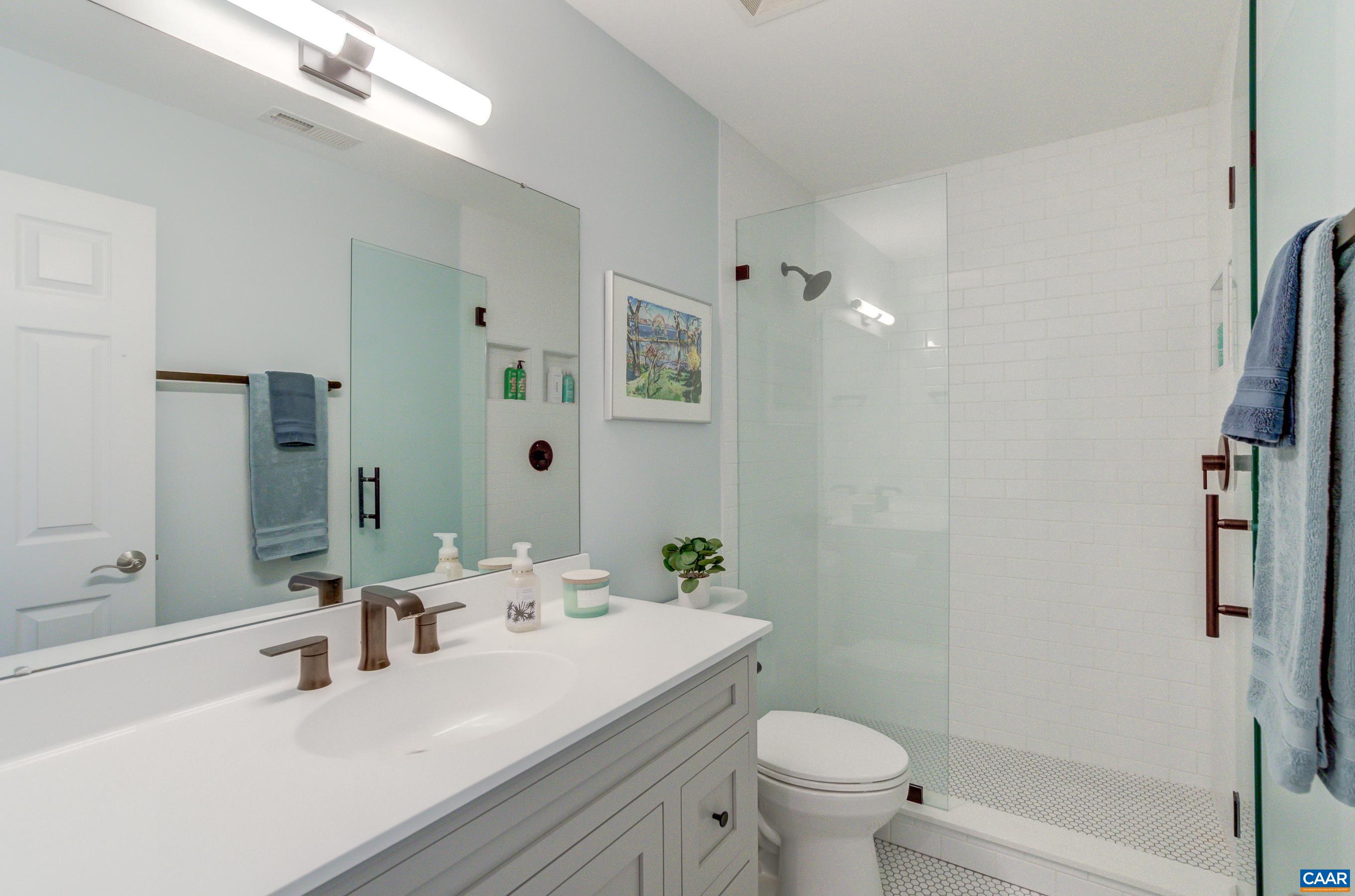 5448 Park Road Crozet, VA 22932 - Photo 23 of 28 a bathroom with a sink a toilet and shower