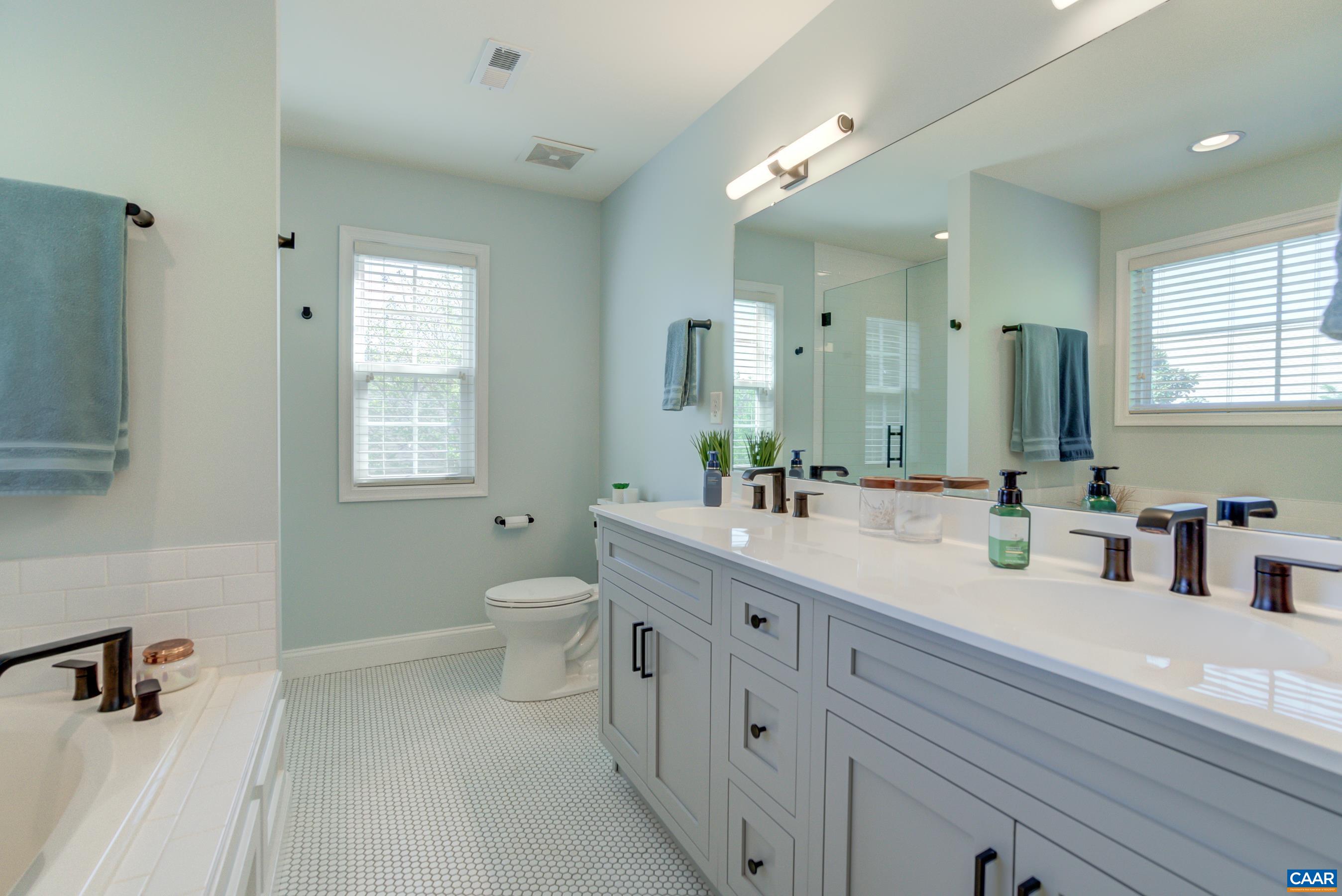 5448 Park Road Crozet, VA 22932 - Photo 24 of 28 a bathroom with a double vanity sink a mirror and a toilet