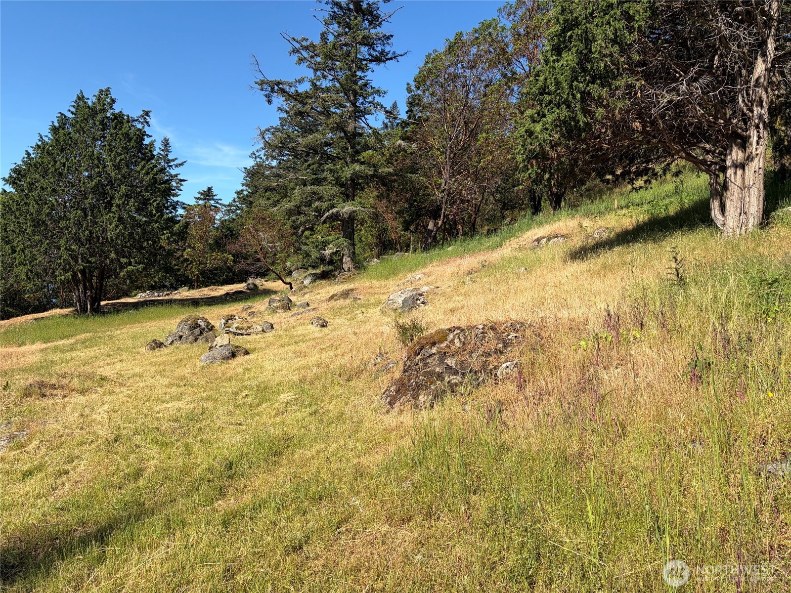 1024 Deer Harbor Road Orcas Island, WA 98245 - Photo 2 of 12