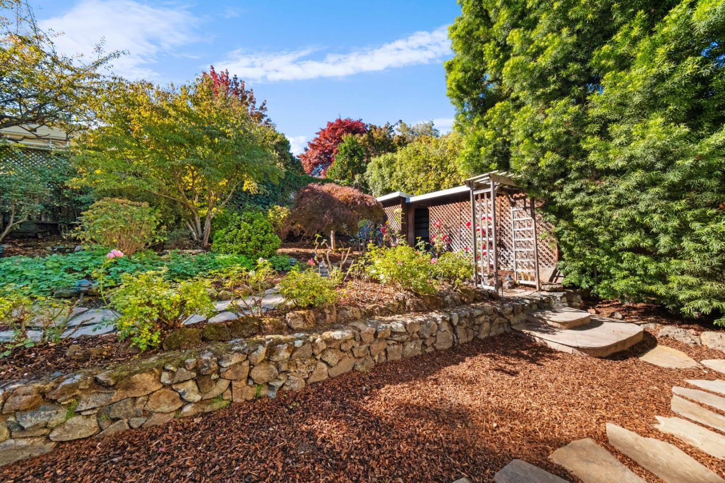 425 Dorchester Road San Mateo, CA 94402 - Photo 43 of 61 a view of a backyard with plants and flowers