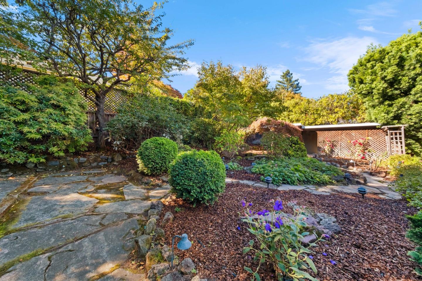 425 Dorchester Road San Mateo, CA 94402 - Photo 44 of 61 a view of a garden with plants and large trees