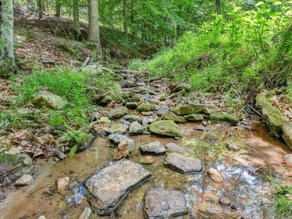 247 Powell Road Ridgeway, VA 24148 - Photo 58 of 90 58-MIB07210