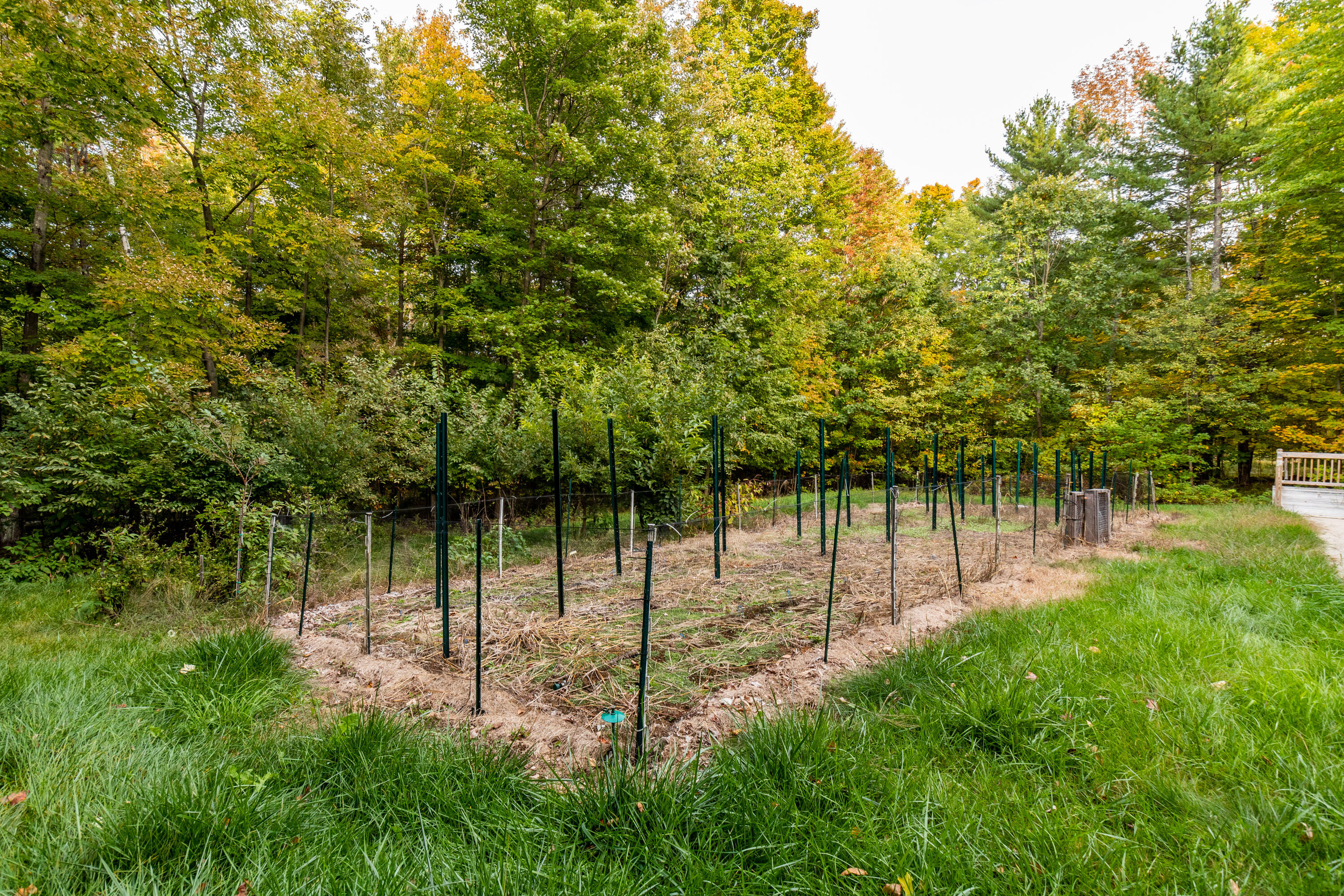 975 West Road Waterboro, ME 04087 - Photo 53 of 79 20221003ms-82062