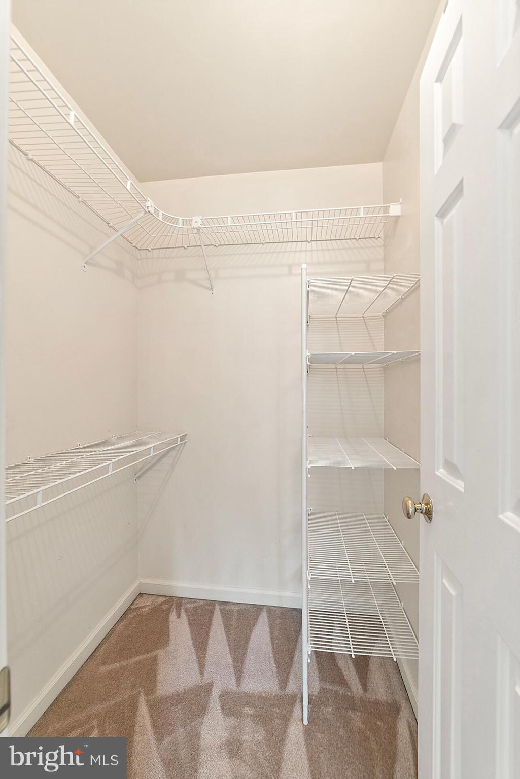 613 Clubhouse Way Culpeper, VA 22701 - Photo 8 of 20 MBR walk in closet