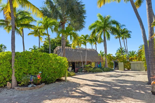 a view of a palm trees front of a house