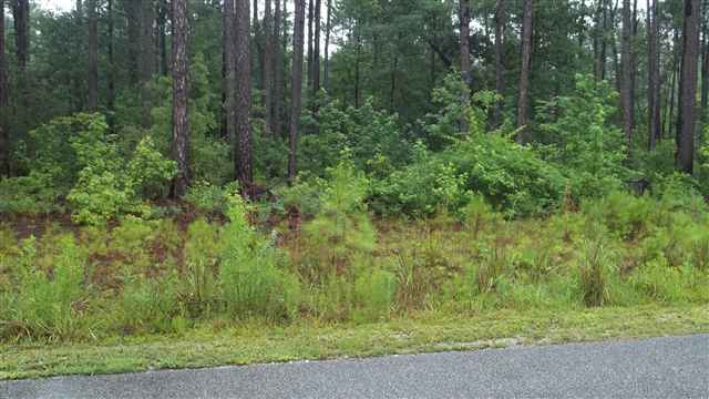 Lot 481 Francis Parker Road Georgetown, SC 29440 - Photo 3 of 3 Gallery Image 3