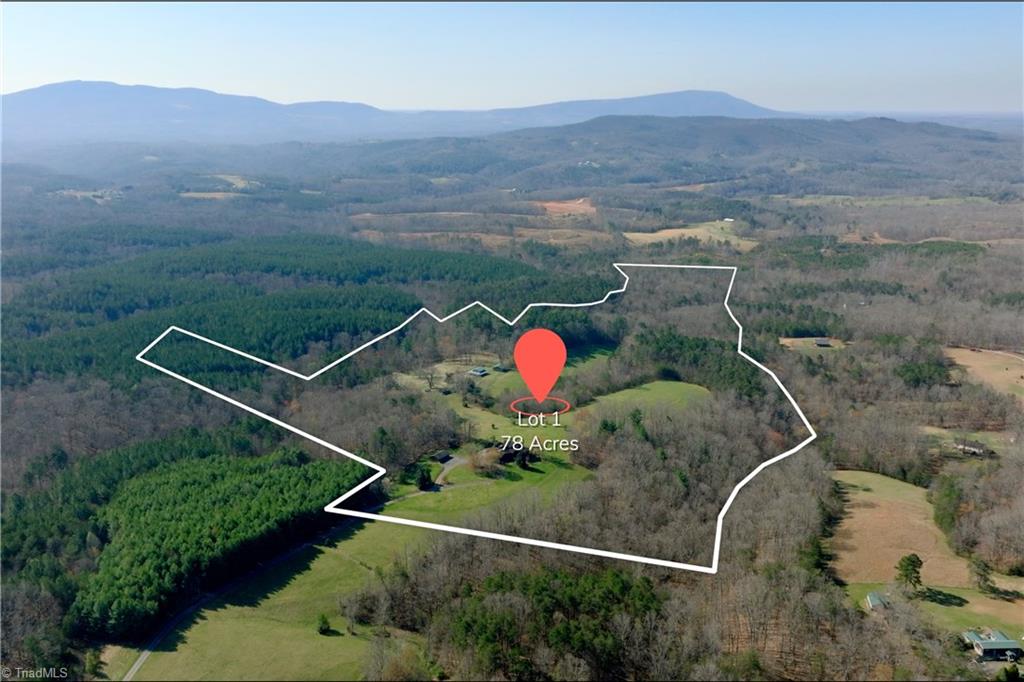 1019 George Road Westfield, NC 27053 - Photo 6 of 28