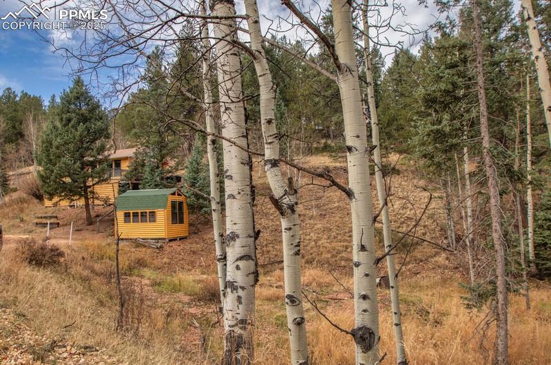 361 Willow Road Divide, CO 80814 - Photo 11 of 27 a backyard of a house with lots of green space