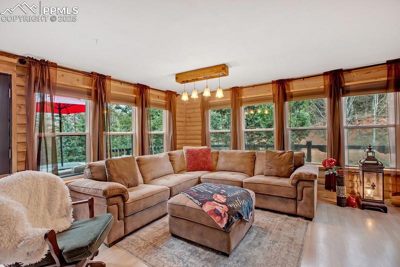 361 Willow Road Divide, CO 80814 - Photo 15 of 27 a living room with furniture and a large window