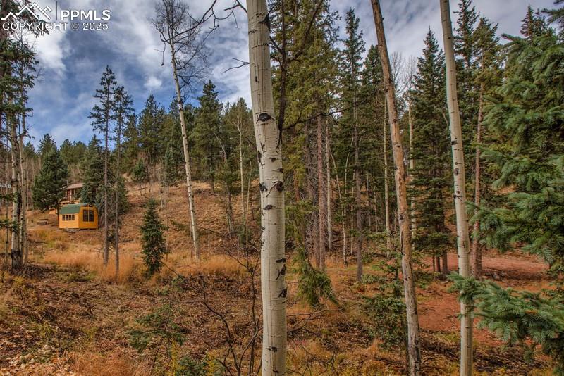 361 Willow Road Divide, CO 80814 - Photo 26 of 27 a view of a pathway both side of building