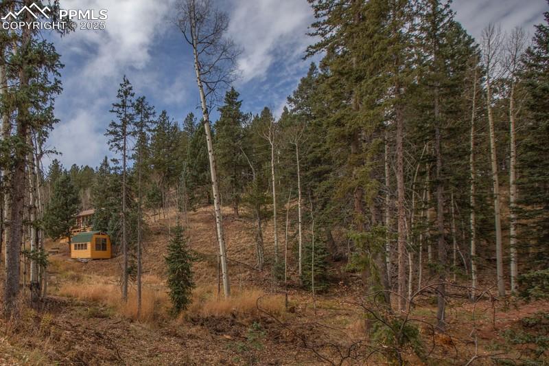 361 Willow Road Divide, CO 80814 - Photo 27 of 27 a view of a forest filled with trees