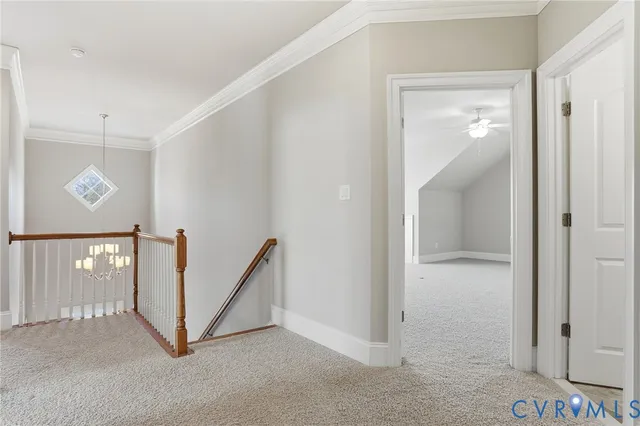 a view of a yard with plants and large trees