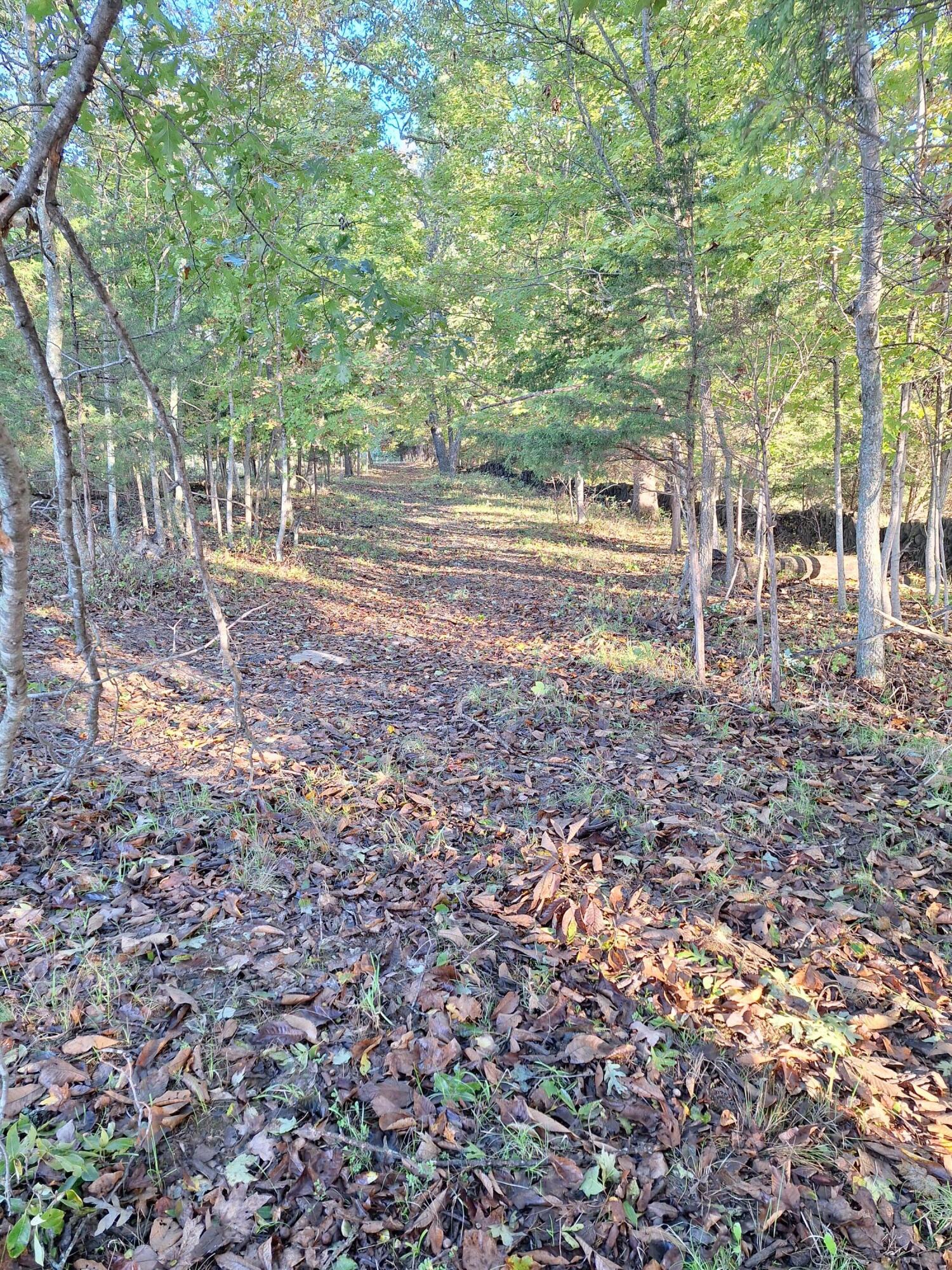 0 Casey Mill Road Berry, KY 41003 - Photo 26 of 28 Gallery Image 26