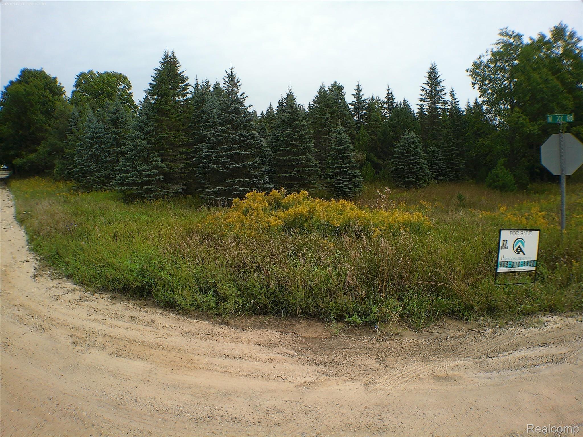 0 North 27th Road Mesick, MI 49668 - Photo 13 of 14 ANMP0235.jpg