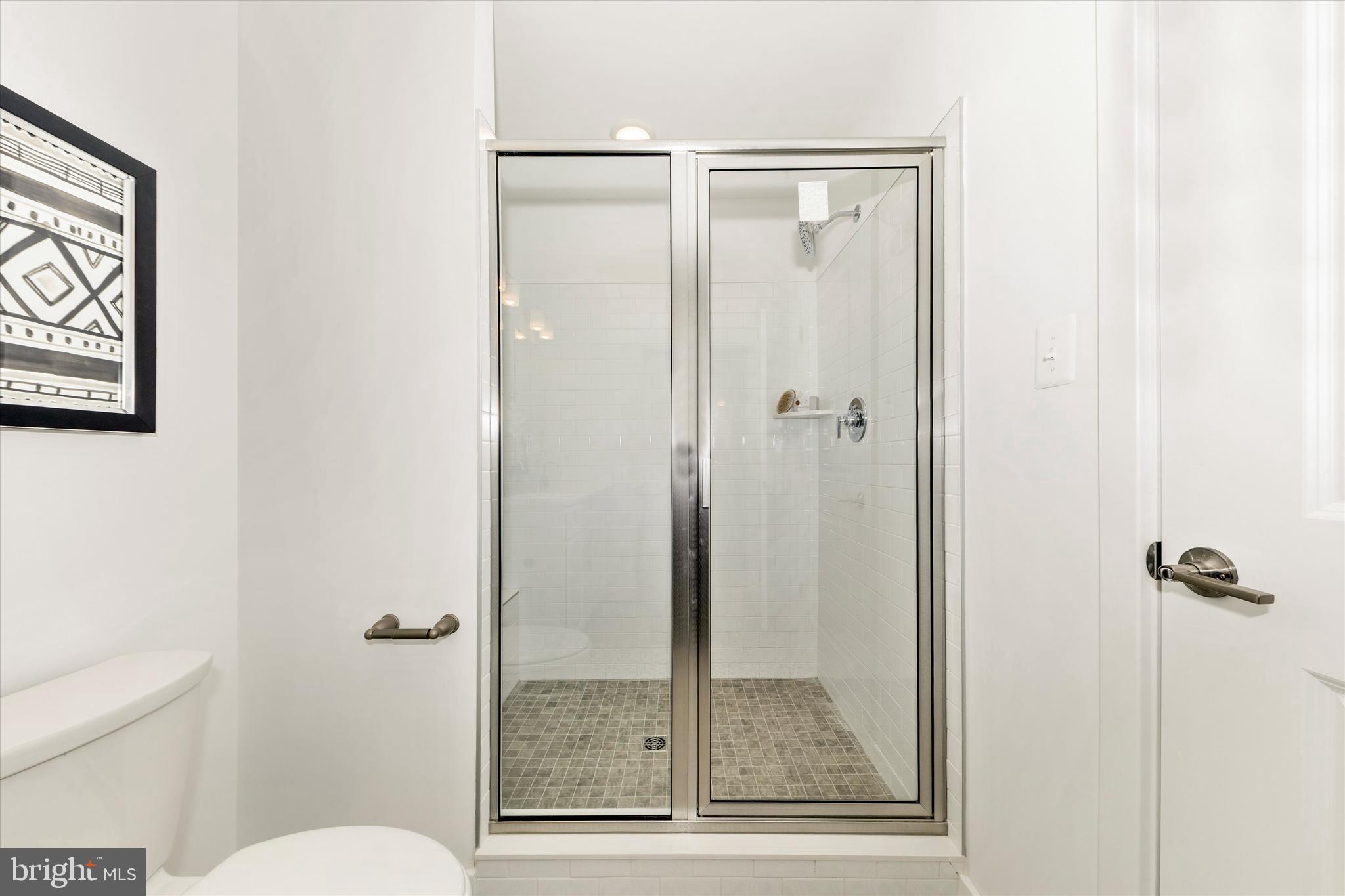 722 Iron Frg Road, Unit 218 Frederick, MD 21702 - Photo 25 of 42 Main level primary bath.