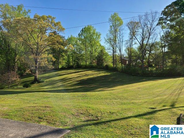 1765 Brookside Road Mount Olive, AL 35117 - Photo 3 of 18