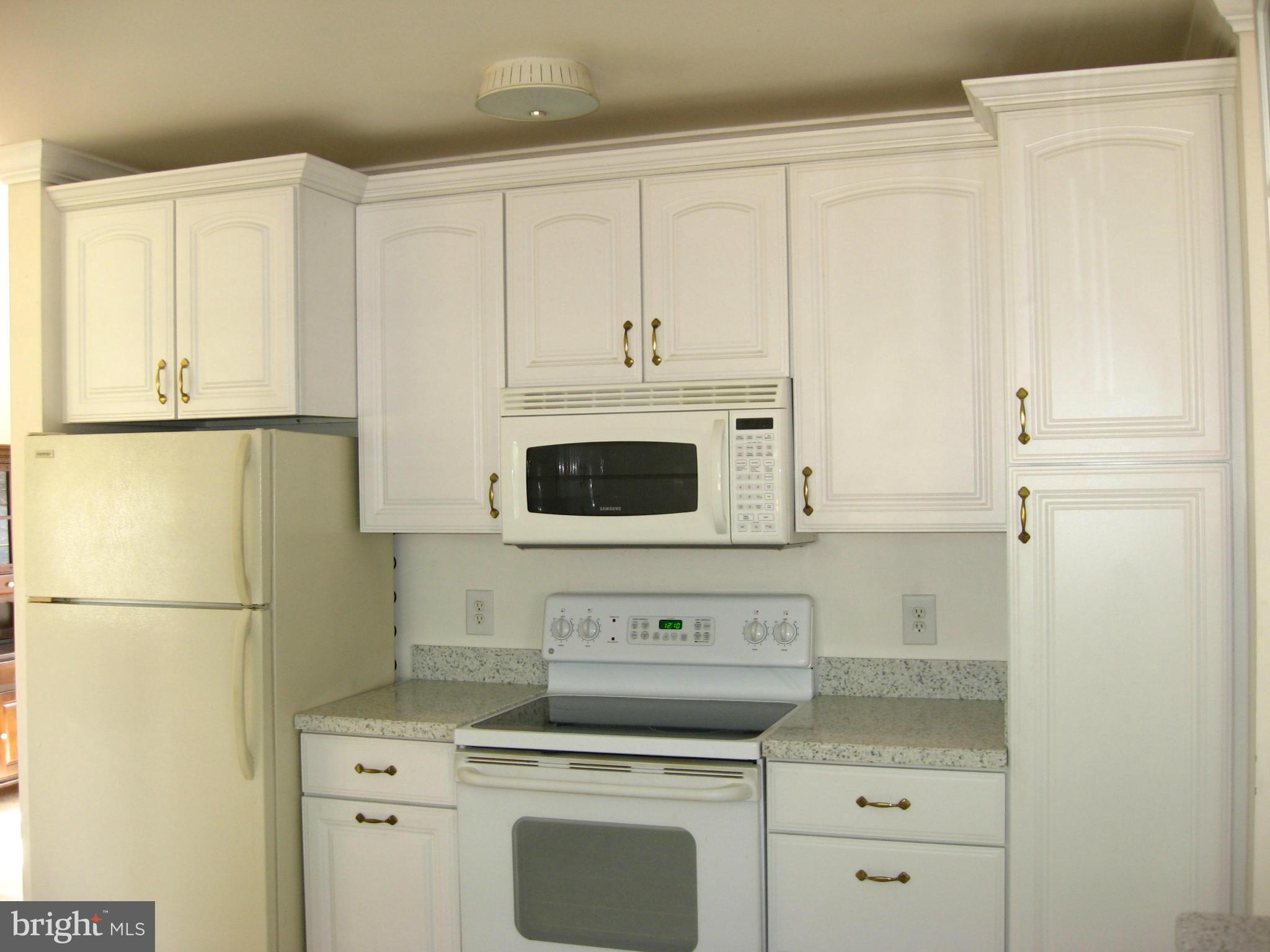 9841 Moyer Road Damascus, MD 20872 - Photo 16 of 30 Kitchen