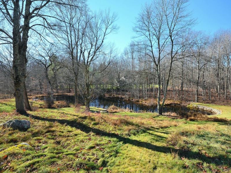 70 Barnegat Road New Canaan, CT 06840 - Photo 23 of 26 pond