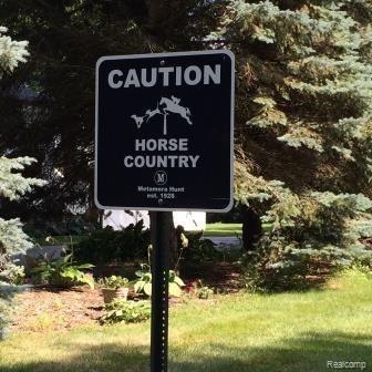 3210 Hosner Road Dryden, MI 48428 - Photo 9 of 17