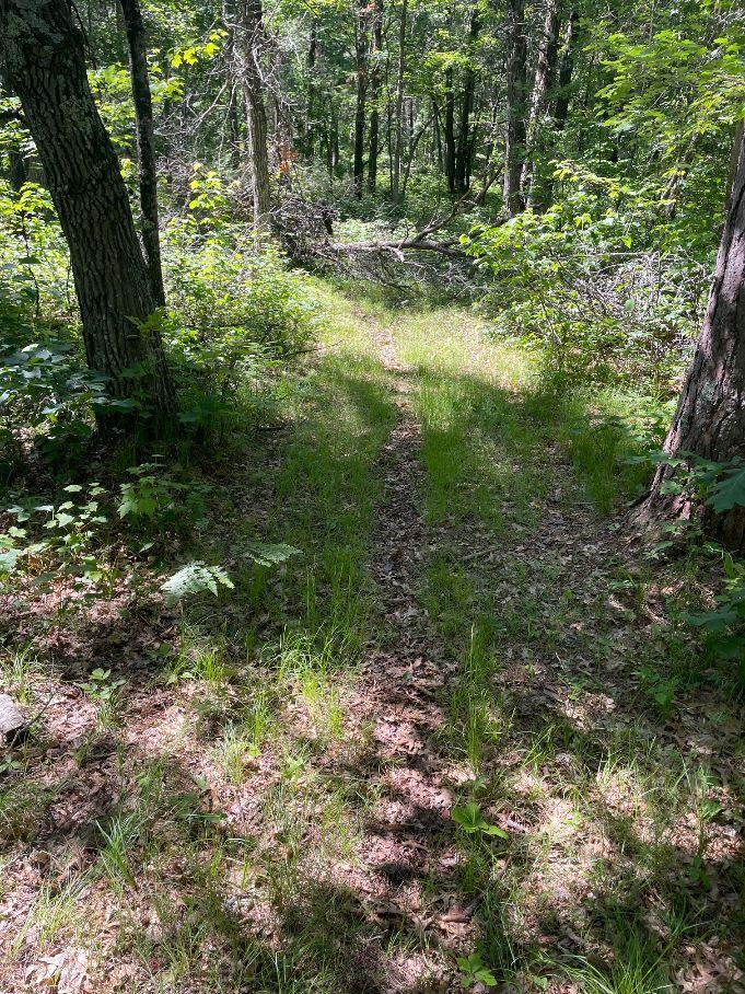 12997 East Mail Road Gordon, WI 54838 - Photo 57 of 65