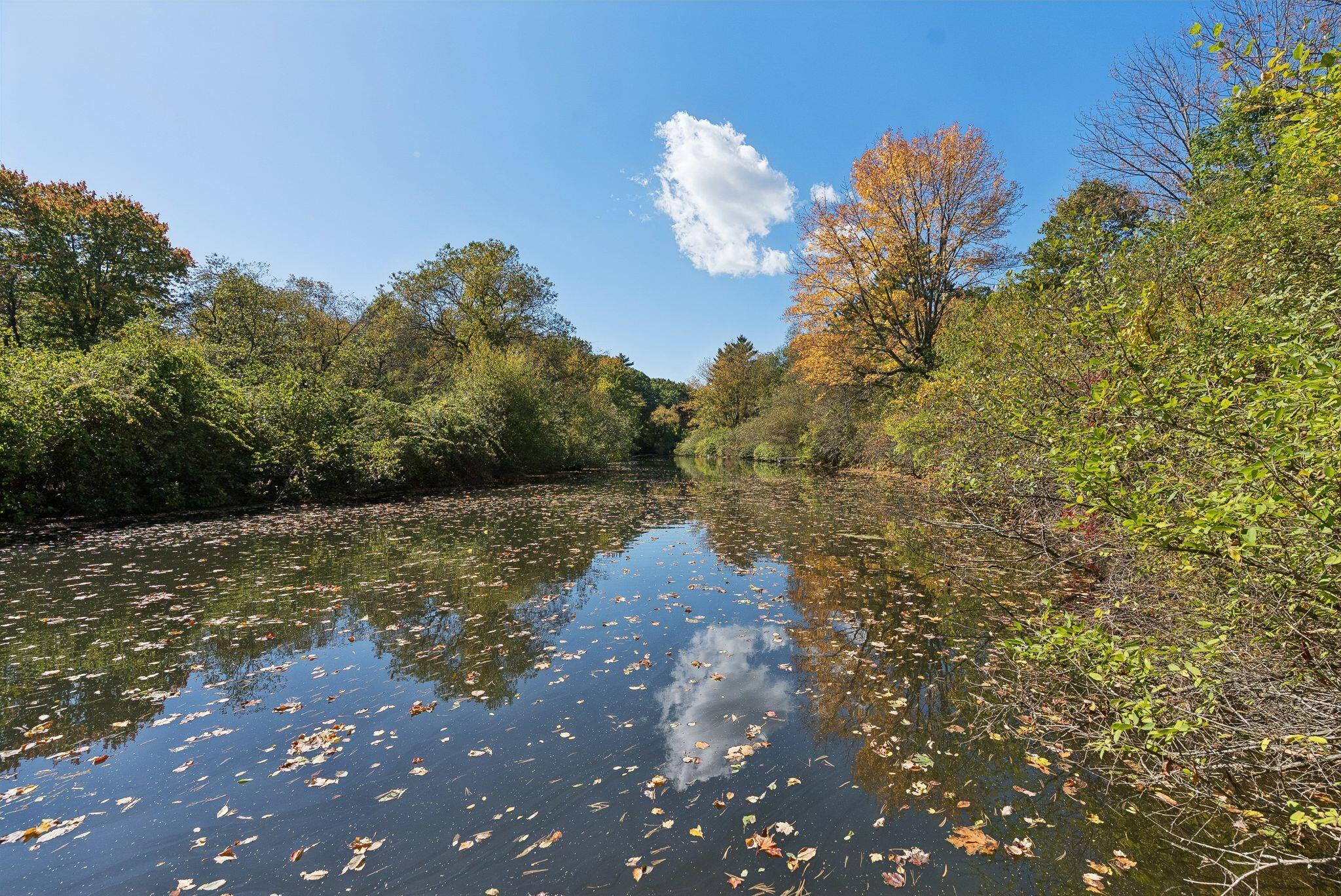 1346 Westbrook Street Portland, ME 04102 - Photo 74 of 89 35_DSC08017