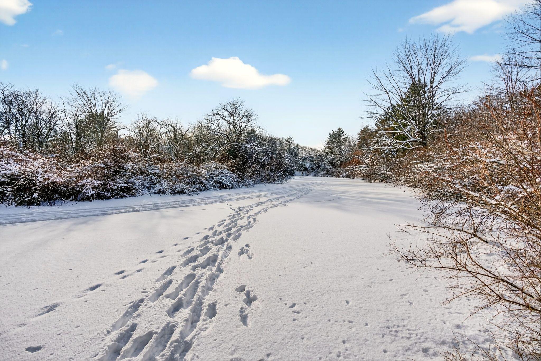 1346 Westbrook Street Portland, ME 04102 - Photo 80 of 89 024_DSC09193
