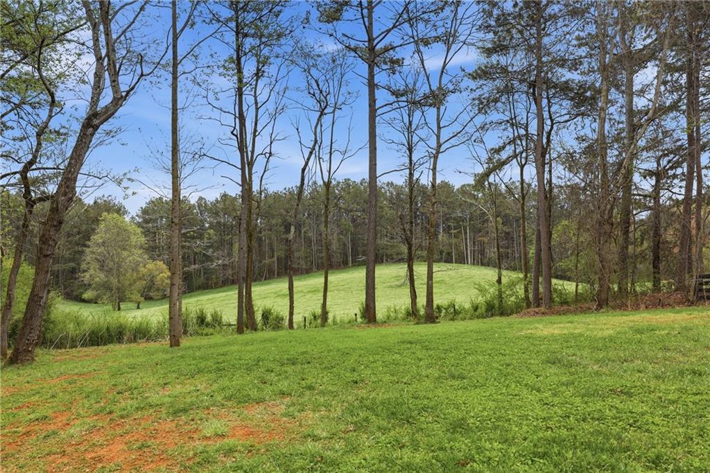 400 Garrett Road Demorest, GA 30535 - Photo 38 of 42