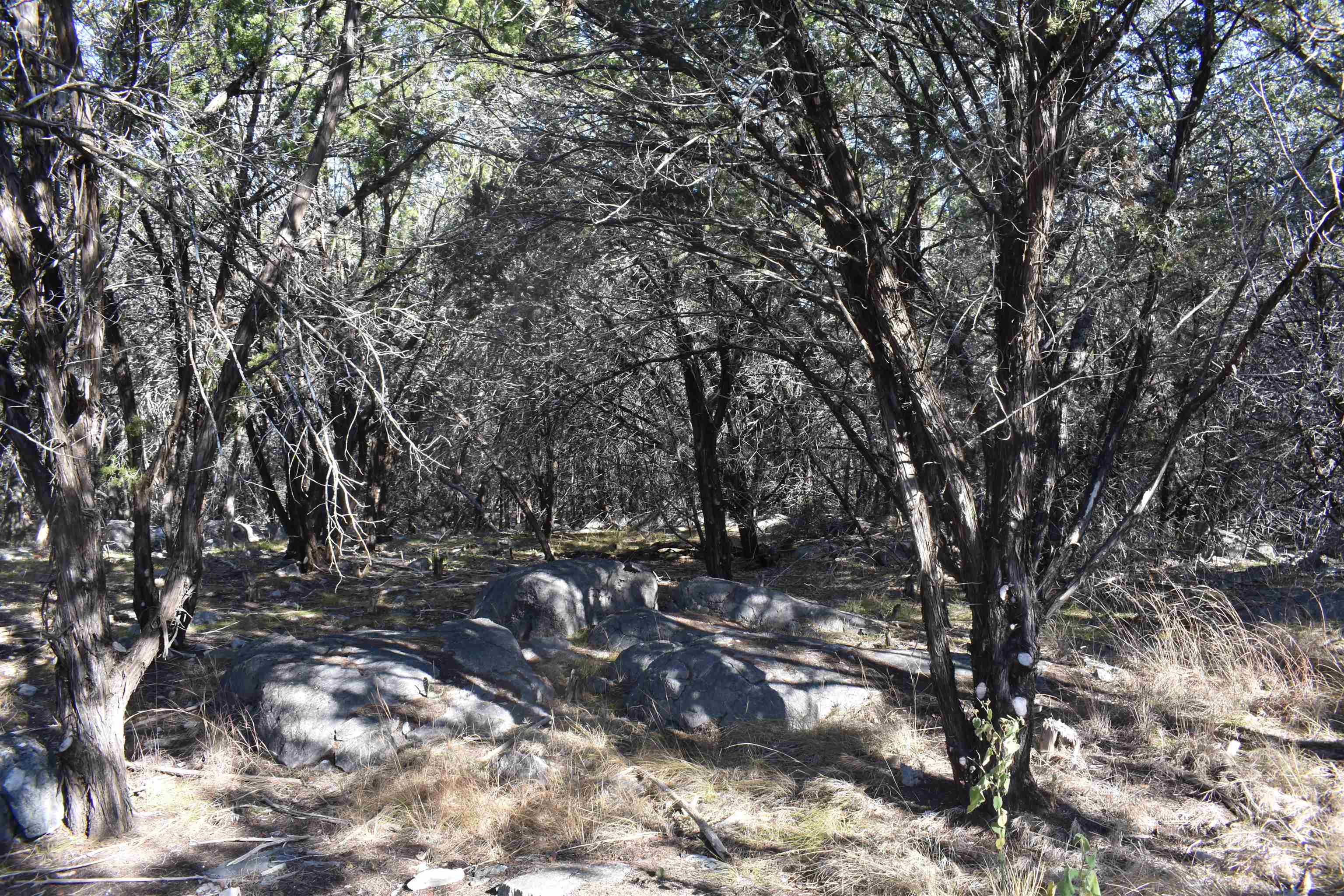 Tbd Saddle Back Road Horseshoe Bay, TX 78657 - Photo 3 of 6