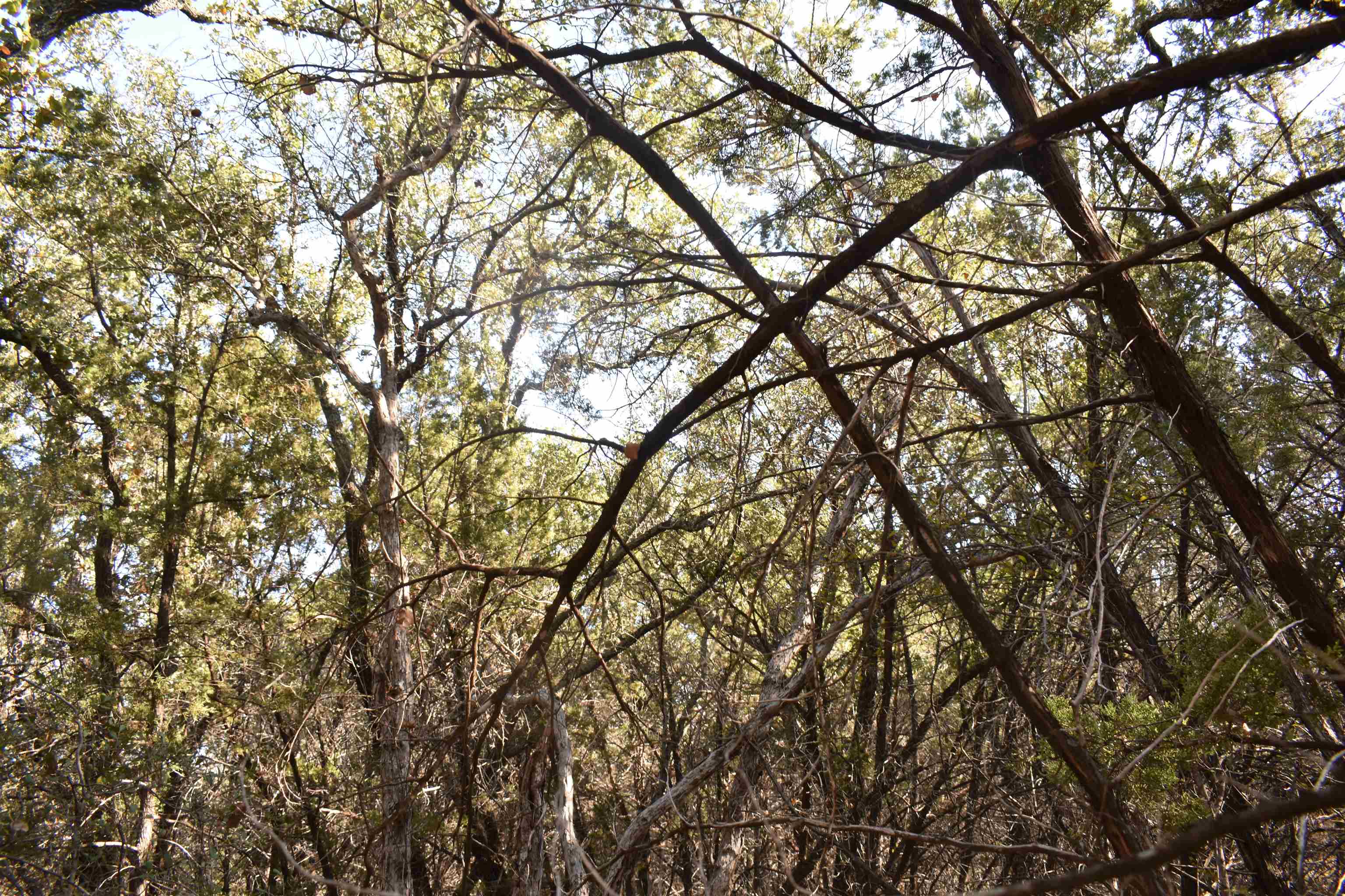 Tbd Saddle Back Road Horseshoe Bay, TX 78657 - Photo 4 of 6