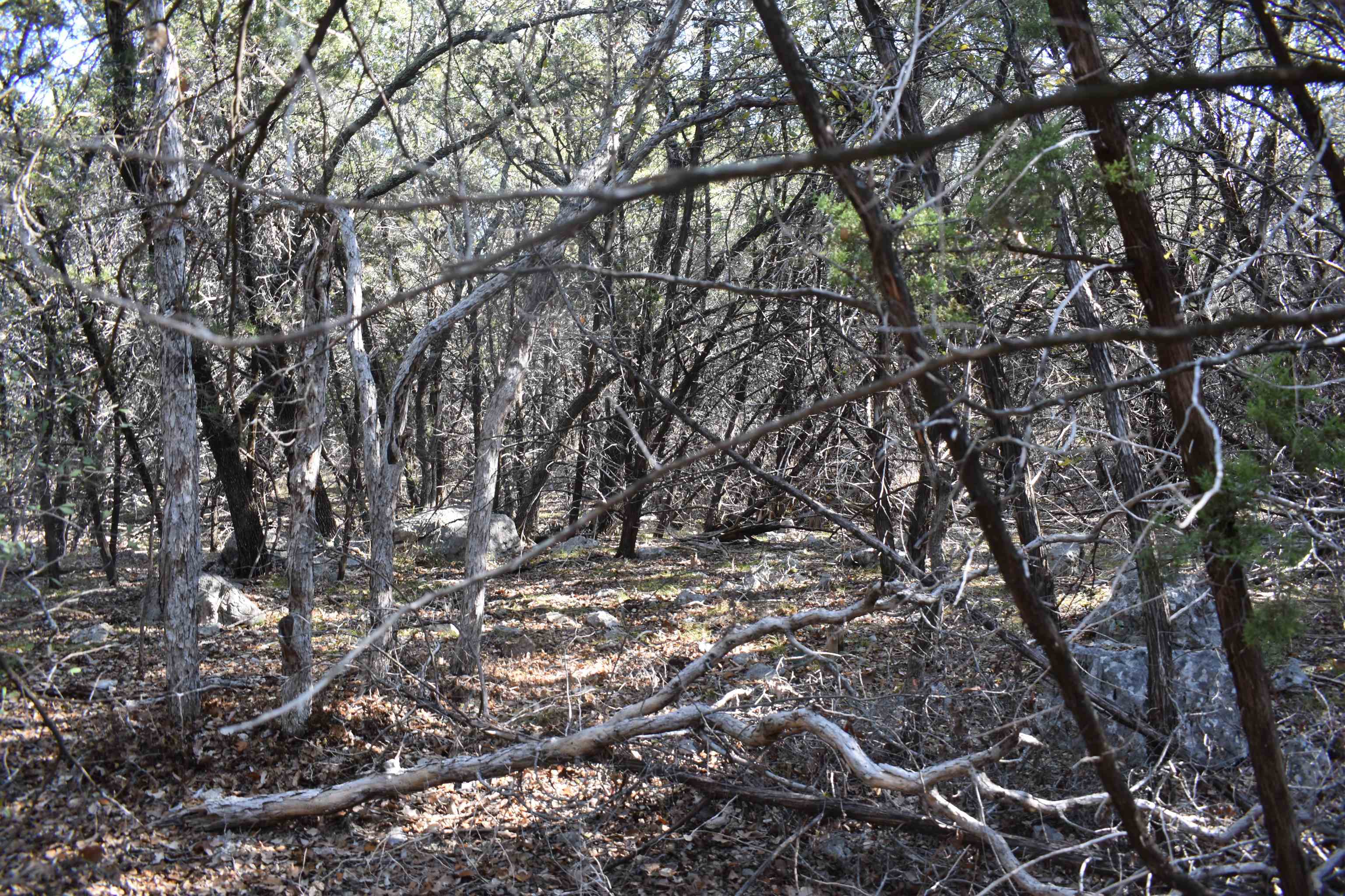 Tbd Saddle Back Road Horseshoe Bay, TX 78657 - Photo 5 of 6
