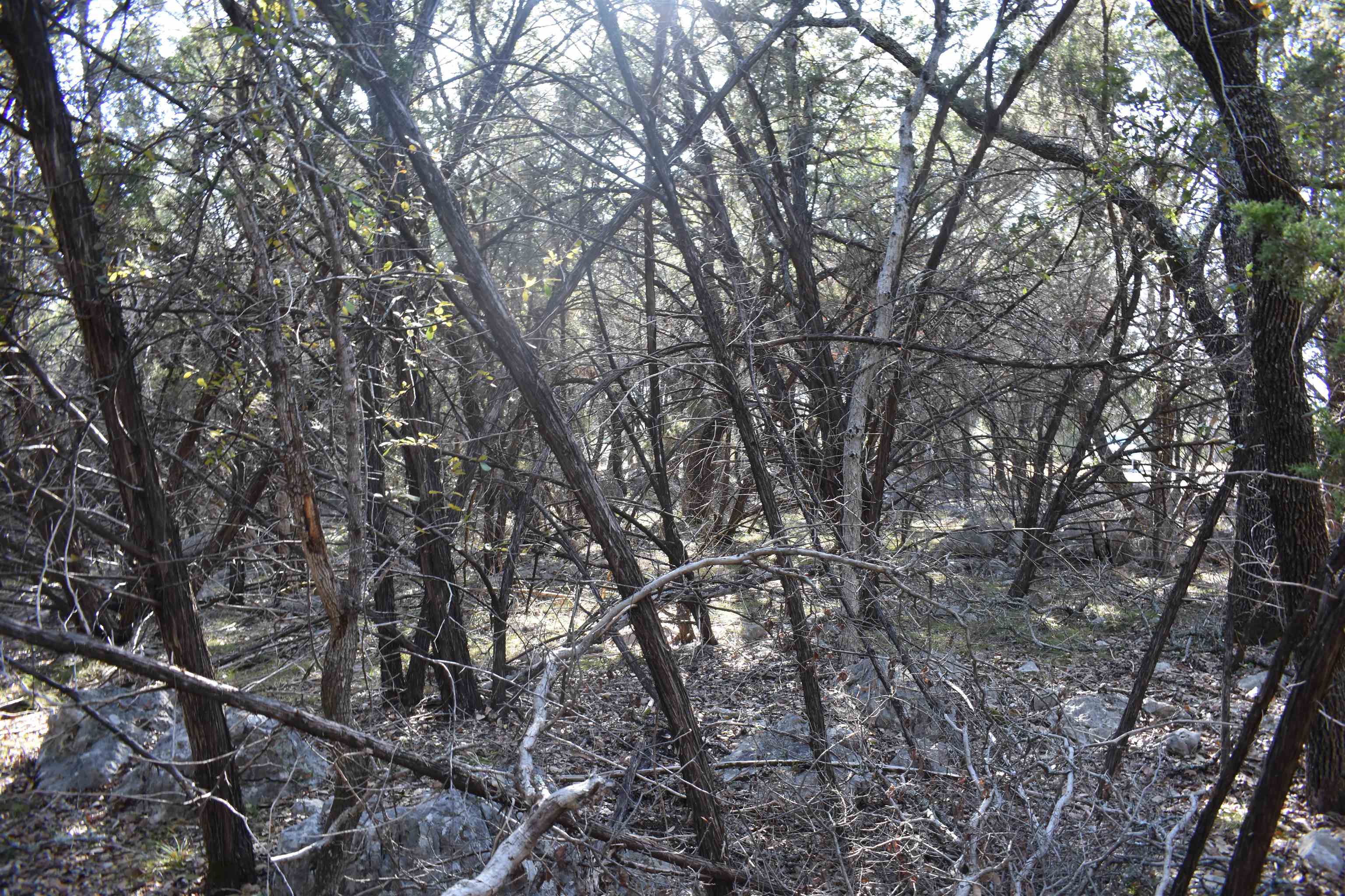 Tbd Saddle Back Road Horseshoe Bay, TX 78657 - Photo 6 of 6