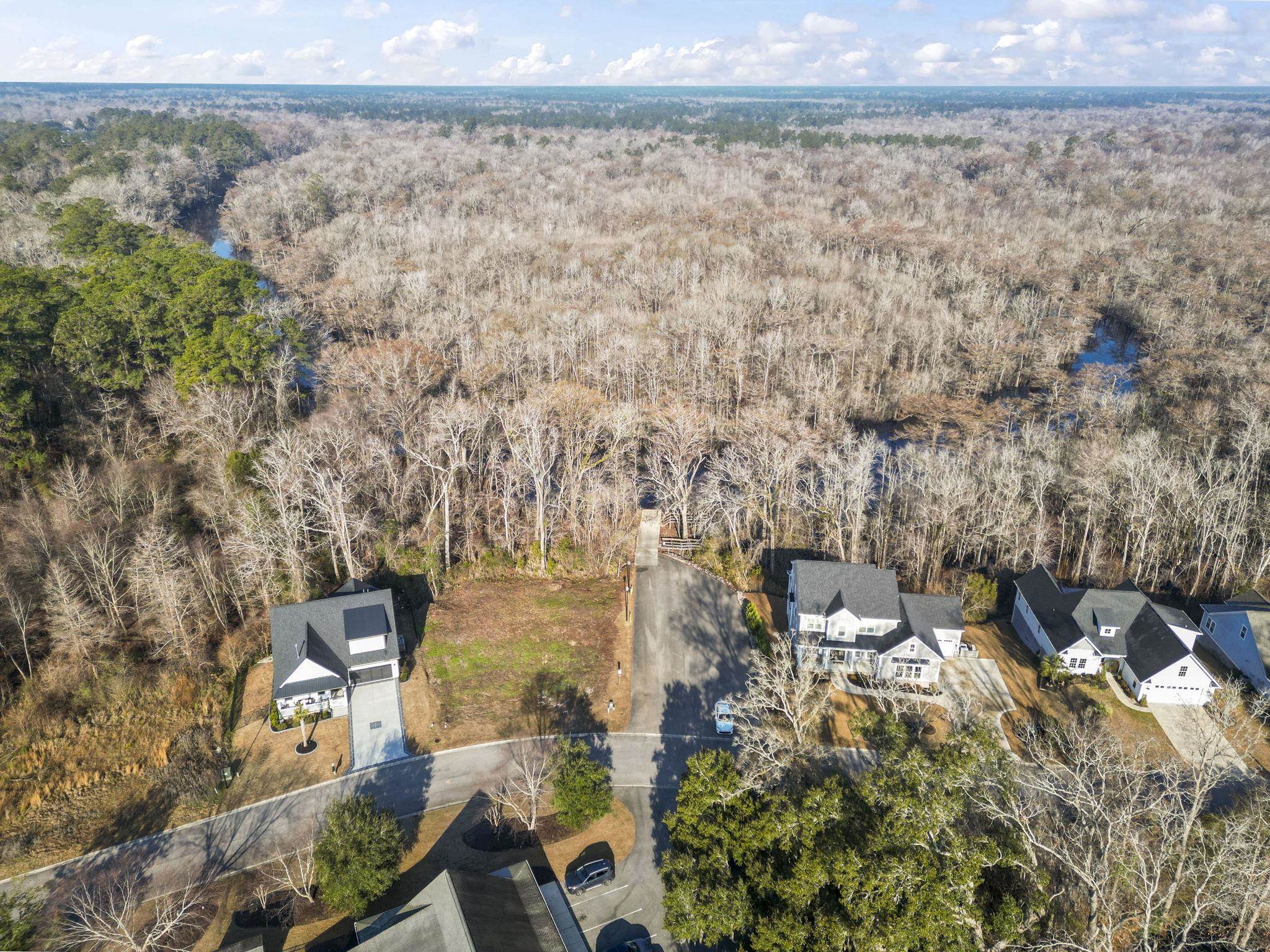 274 Rivers Edge Drive Conway, SC 29526 - Photo 3 of 19 Gallery Image 3