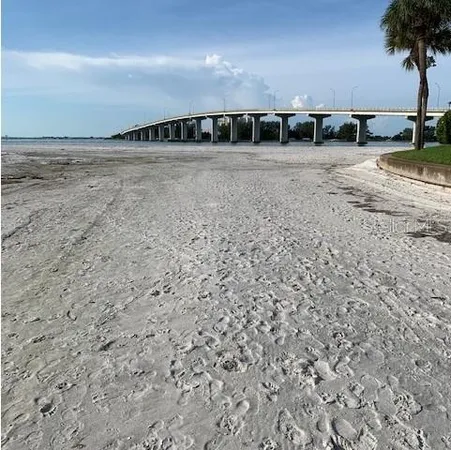 $2,400 | 800 South Gulfview Boulevard, Unit 302, Clearwater Beach, FL 33767