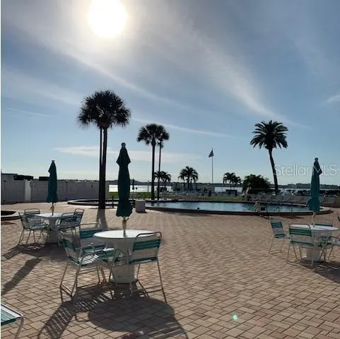 a view of a swimming pool with a chair and palm trees