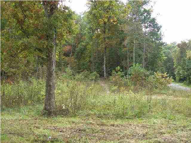 291 Mans Hollow Road Ten Mile, TN 37880 - Photo 1 of 1 Gallery Image 1