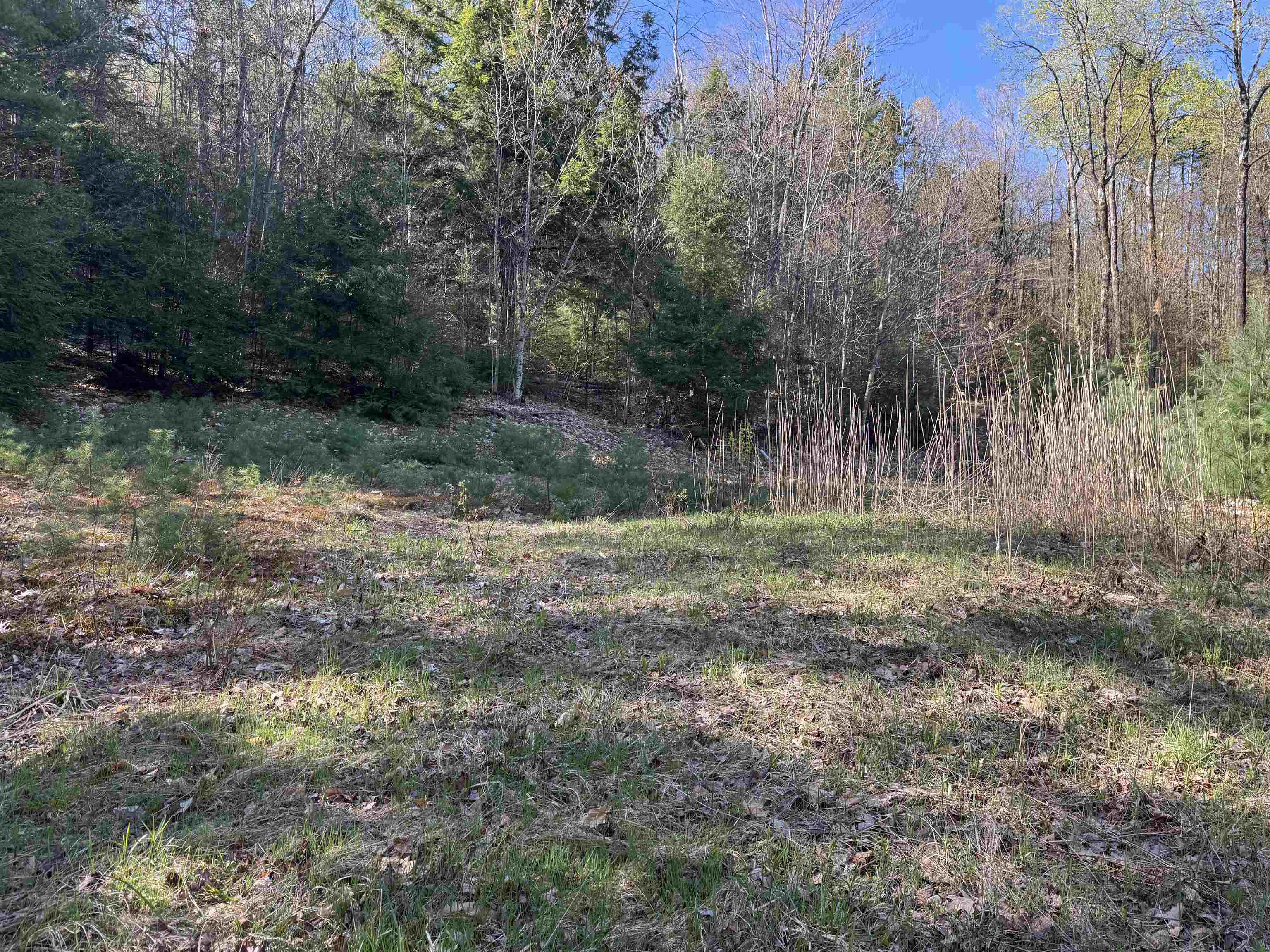 807 Kidder Hood Road Bradford, VT 05033 - Photo 16 of 21