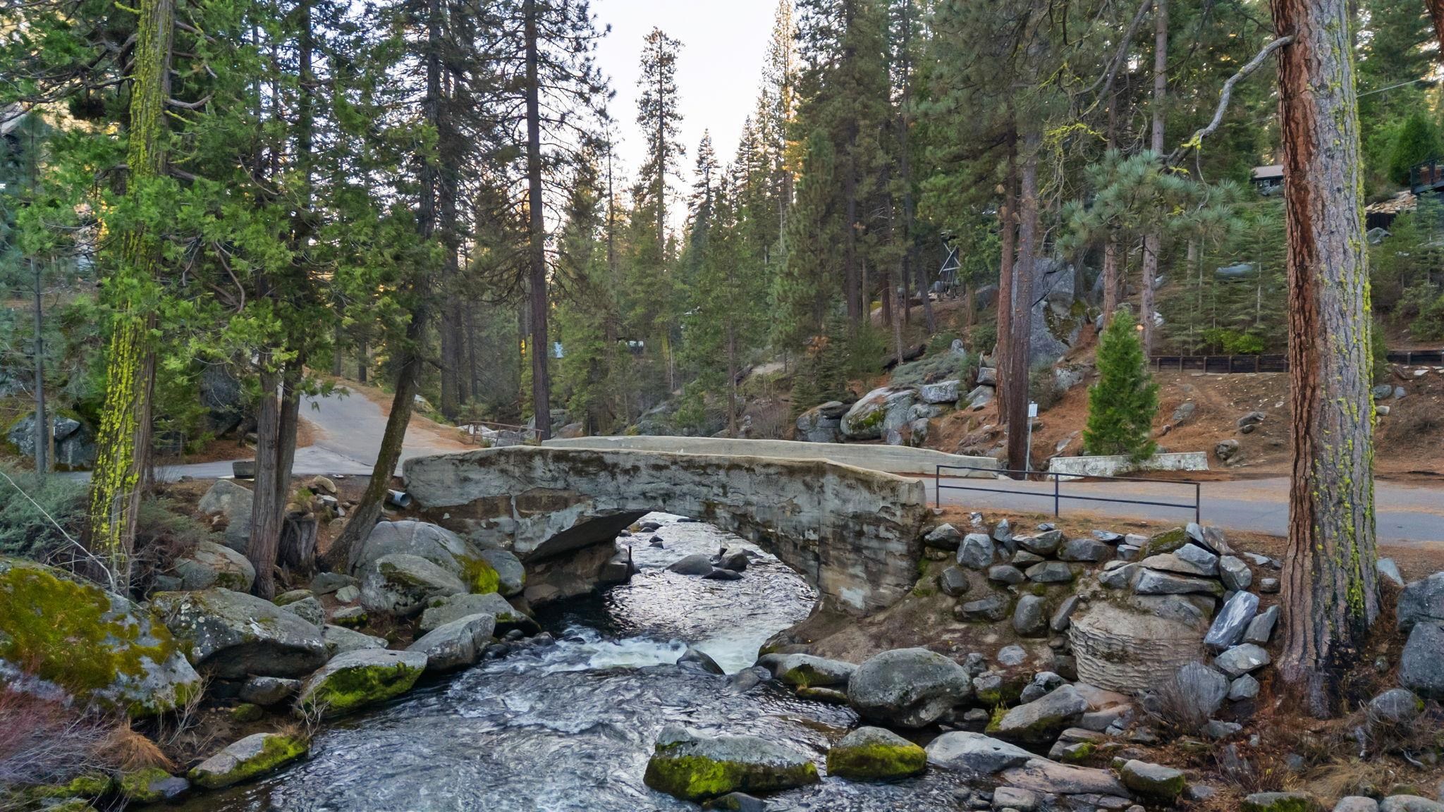 31631 Old Strawberry Road Strawberry, CA 95364 - Photo 16 of 16 a view of a lush green forest with lots of trees