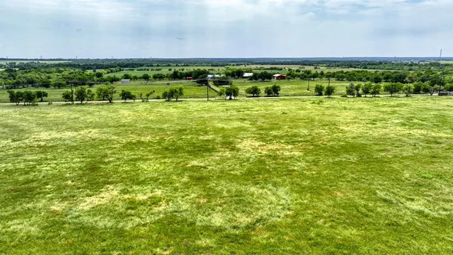 a view of a green field with plants in front of it
