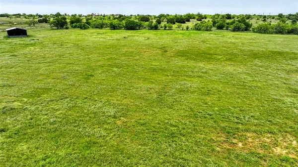 a view of a field with an trees