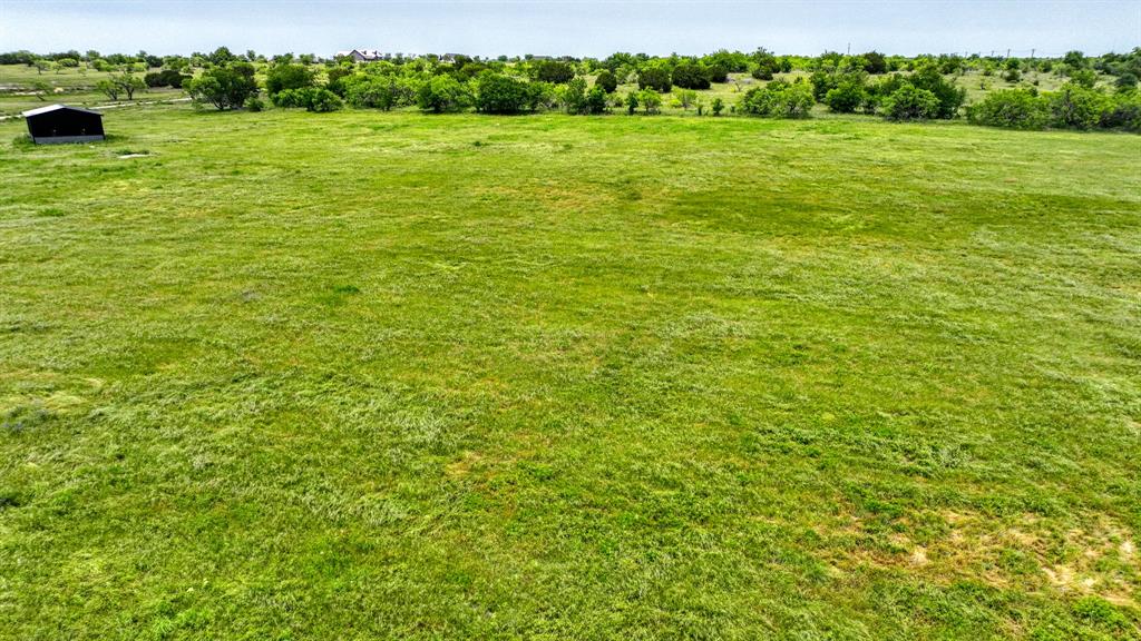 914 Old Oran Road Perrin, TX 76486 - Photo 10 of 11 a view of a field with an trees